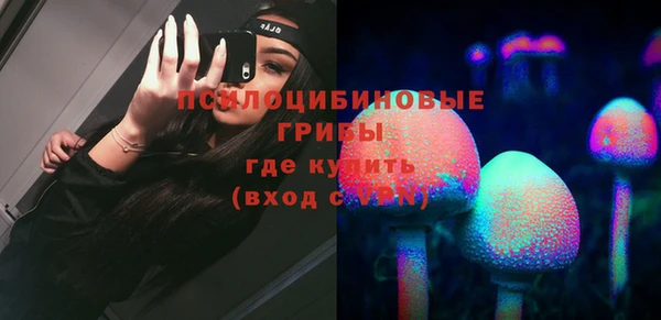 твердый Гусь-Хрустальный