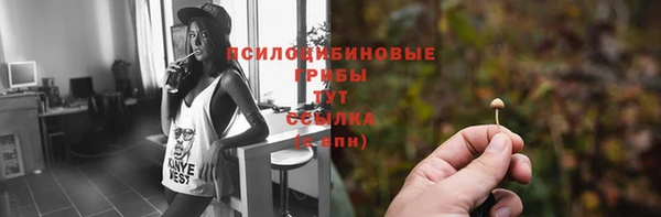 твердый Гусь-Хрустальный