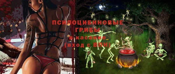 твердый Гусь-Хрустальный