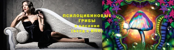 крисы Гусев